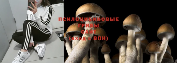 ECSTASY Верхнеуральск