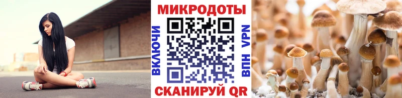 Галлюциногенные грибы GOLDEN TEACHER  Купить  Тайшет 