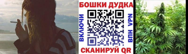 Купить  Тайшет  Каннабис сатива 